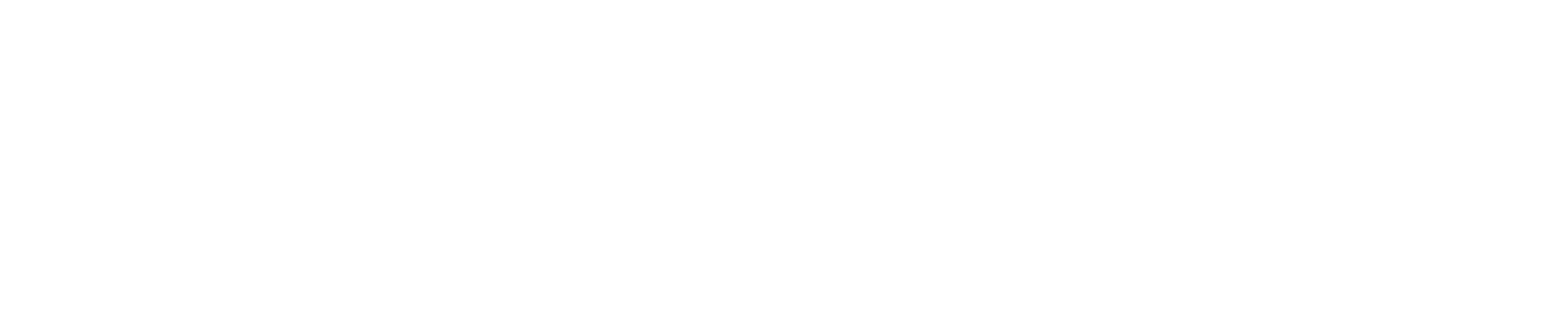 Miami Swim Week - The Shows