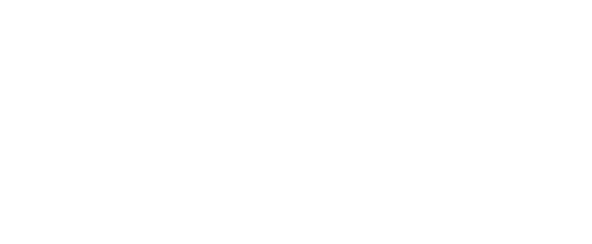 Miami Swim Week - The Shows